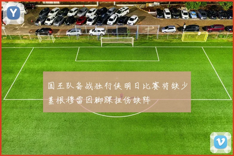 国王队备战独行侠明日比赛将缺少基根穆雷因脚踝扭伤缺阵