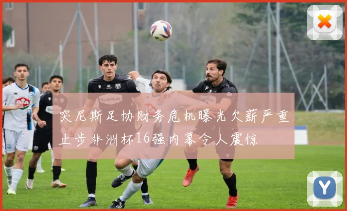 突尼斯足协财务危机曝光欠薪严重止步非洲杯16强内幕令人震惊